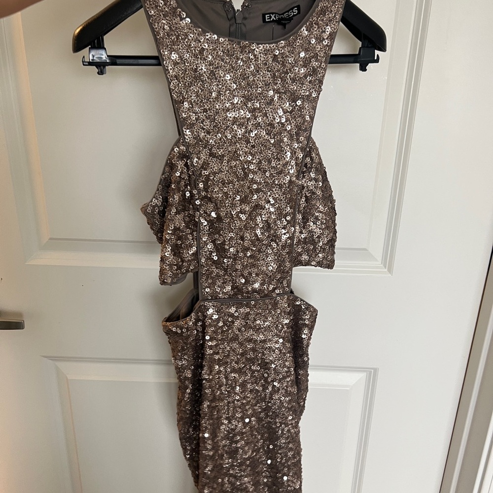 Sequined Express Dress